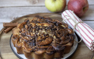 Moelleux aux pommes et à la cannelle